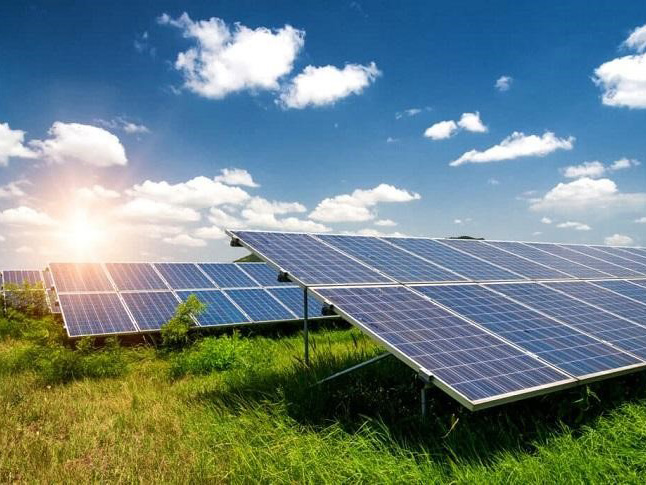 Một chuyến đi vào thế giới greenhushing khi doanh nghiệp nói ít làm nhiều