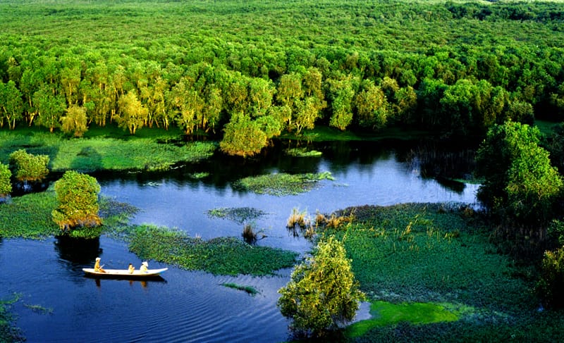 Du lịch Long An, tour khám phá rừng tràm và những làng cổ trung tâm giữa miền Tây