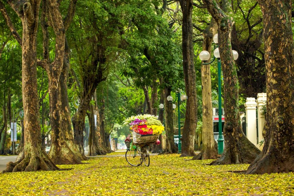 Khám Phá Hanoi Center Silk Hotel: Khách Sạn Hà Đông Đẳng Cấp Với Không Gian Nghỉ Dưỡng Tuyệt Vời